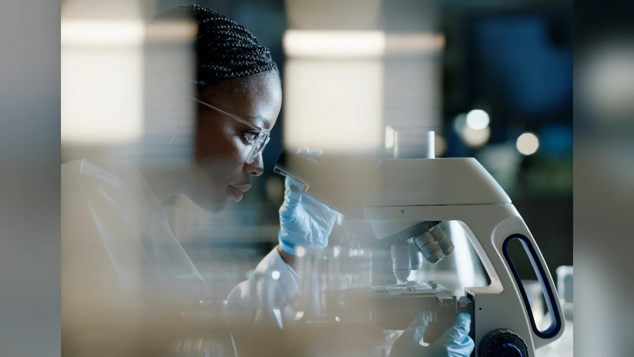 Revolução na Descoberta de Medicamentos: Converge Bio Acelera Pesquisa com IA