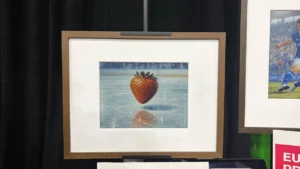 Voz em arte AI sem app: Fraimic custa R$399